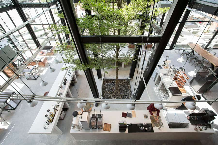 Ở trung tâm tòa nhà, tôi bố trí một mảng xanh