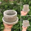 Chậu xi măng trồng cây mini