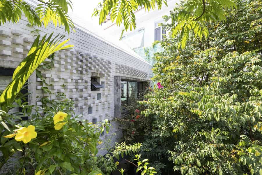 Sân sau có ốc đảo thanh bình với ao cá, hoa và cây bụi trồng dày đặc