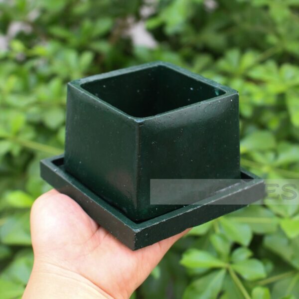 Chậu xi măng mini vuông màu xanh lá