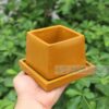 Chậu xi măng mini vuông màu vàng