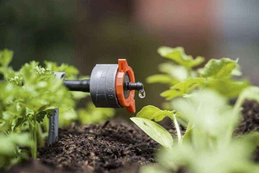 Hệ thống tưới cây nhỏ giọt